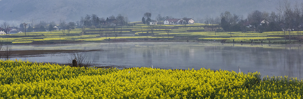 2015��3��23�պ��� a3741.jpg