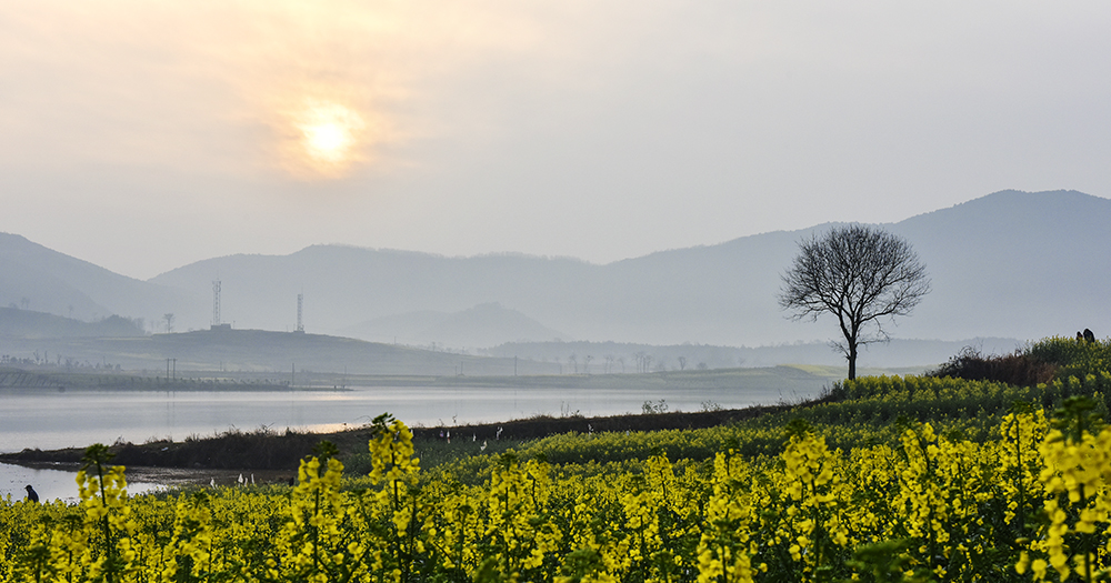 2015��3��23�պ��� a3761.jpg