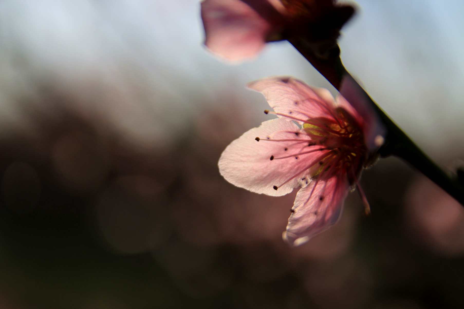 IMG_0669_����.jpg