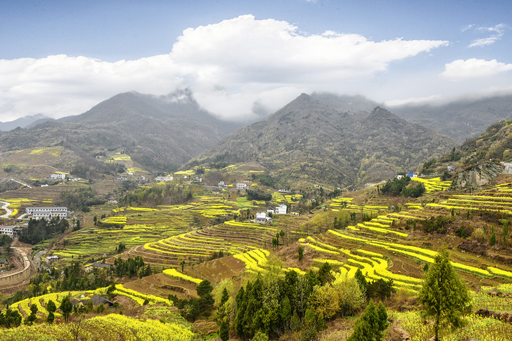 2015��3��23�պ��� a6971.jpg