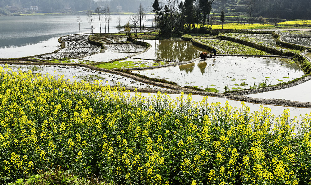 2015��3��23�պ��� a2091.jpg