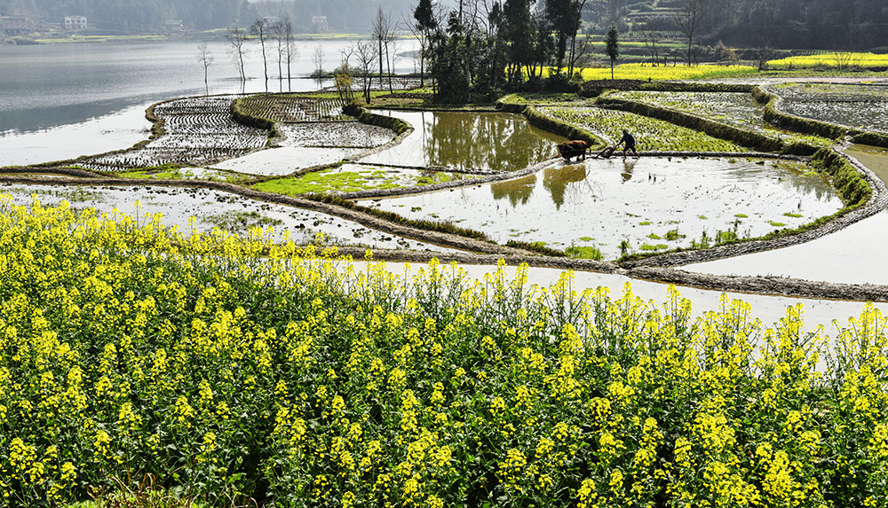 2015��3��23�պ��� a2061.jpg