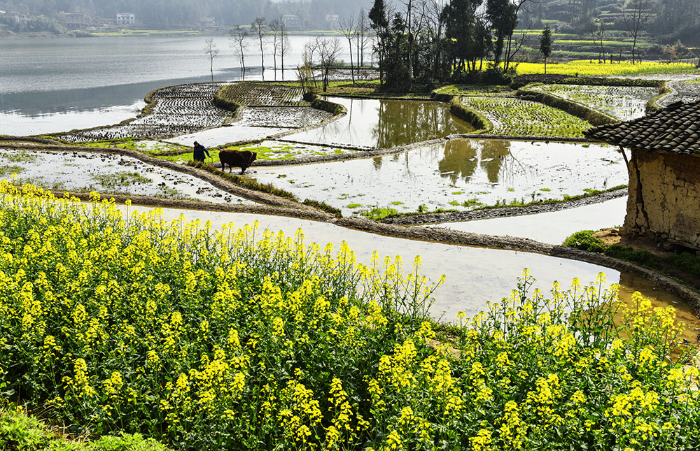 2015��3��23�պ��� a1991.jpg