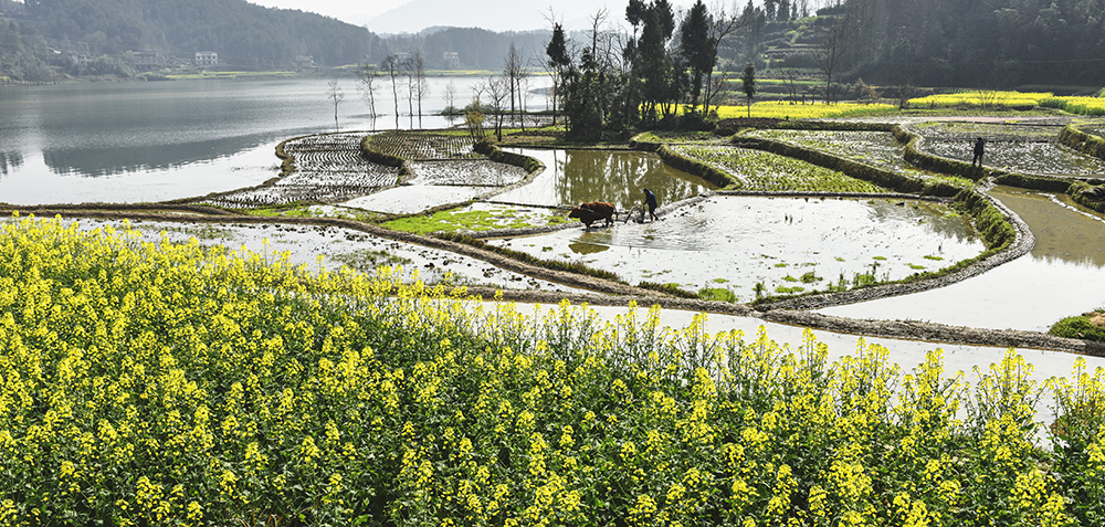 2015��3��23�պ��� a2131.jpg