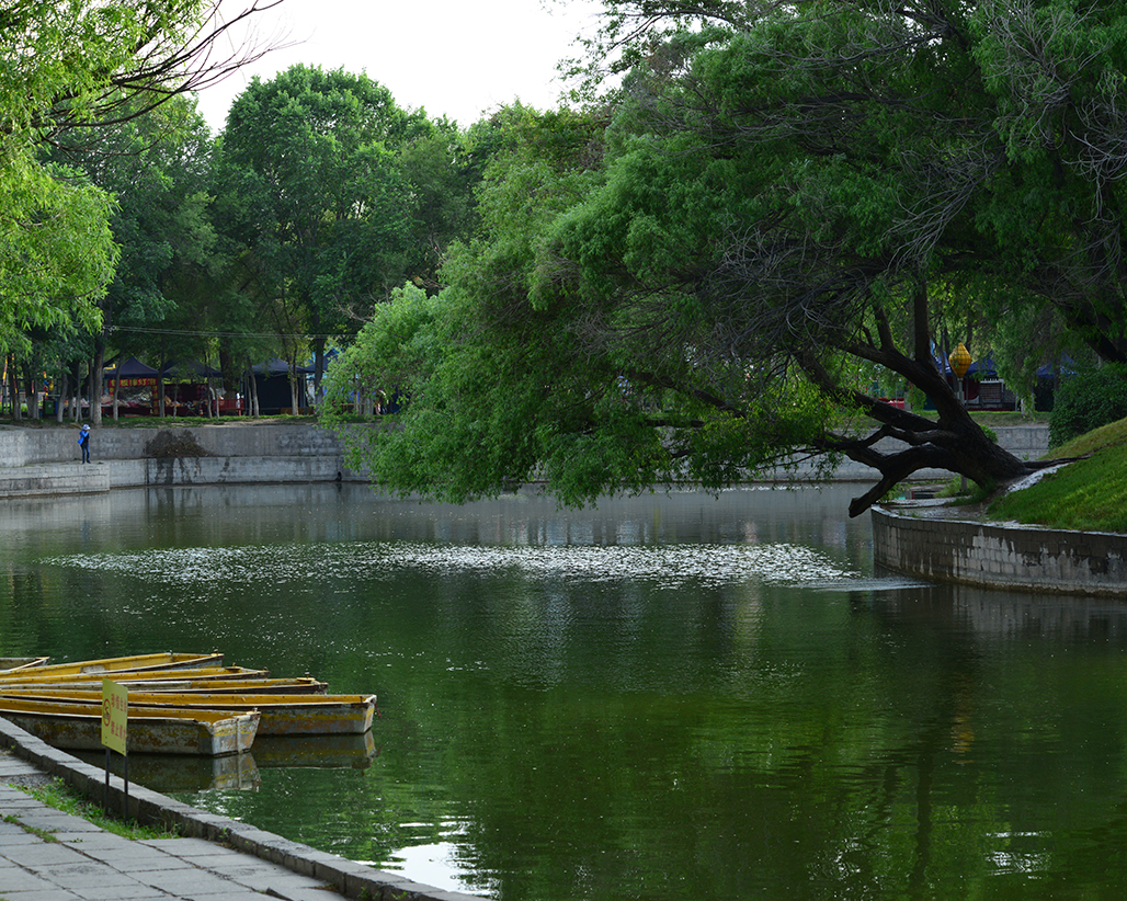 ˮӰ    ������