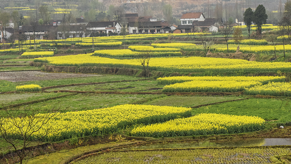 2015��3��23�պ��� a5181.jpg