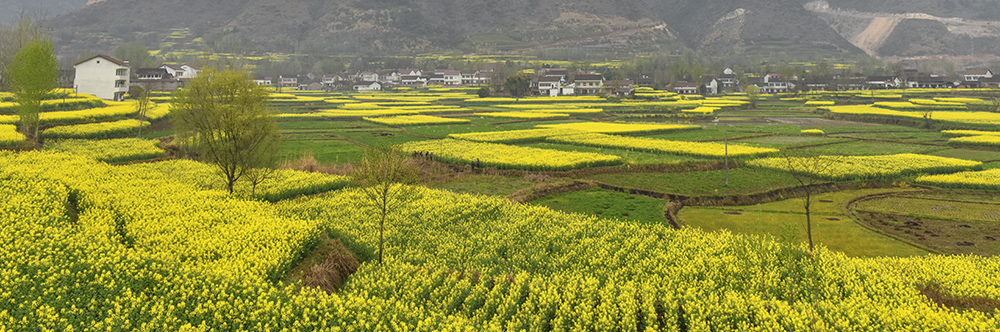 2015��3��23�պ��� a5211.jpg