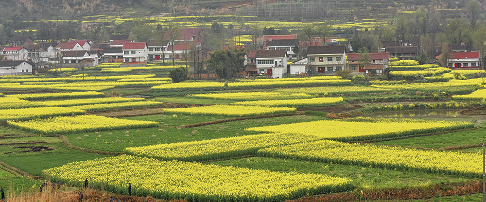 2015��3��23�պ��� a5241.jpg