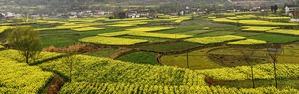 2015��3��23�պ��� a5271.jpg