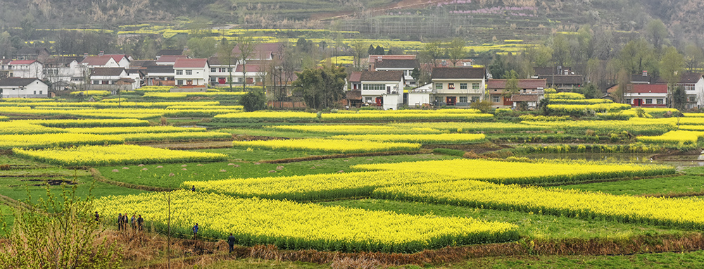 2015��3��23�պ��� a5201.jpg