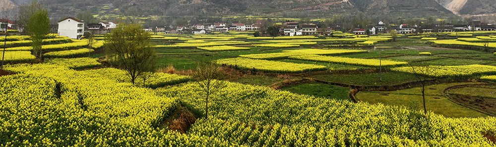 2015��3��23�պ��� a5221.jpg