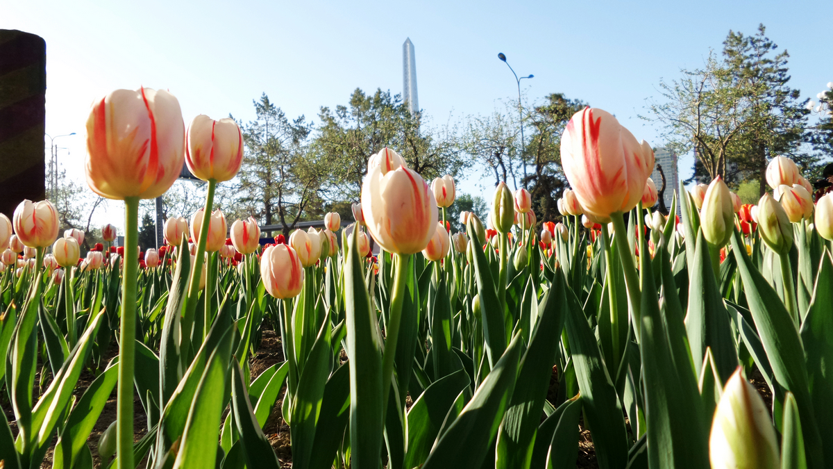 nEO_IMG_20150423_090104 - ����.jpg