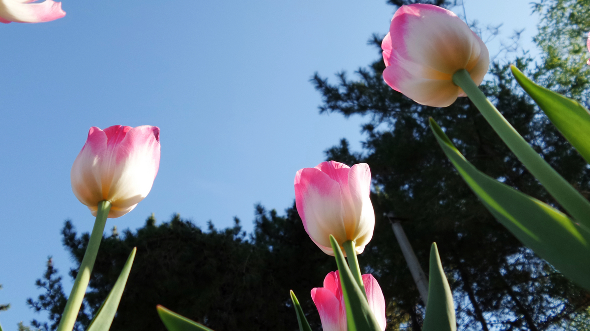 nEO_IMG_20150423_093020 - ����.jpg