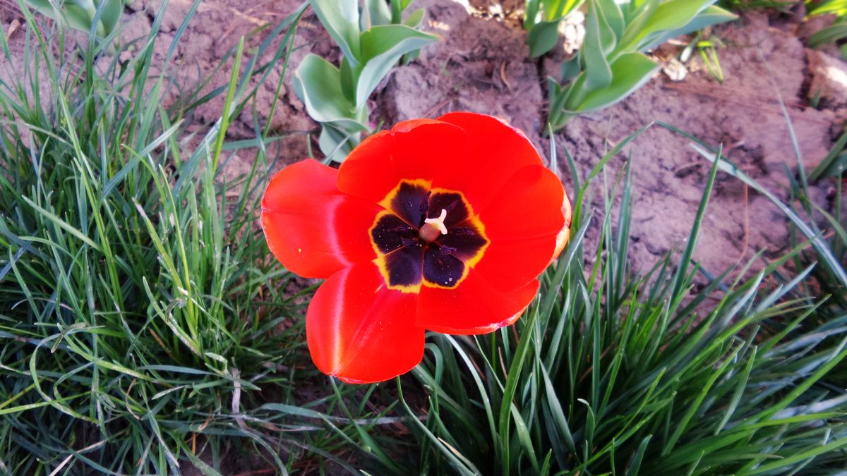 nEO_IMG_20150423_092300 - ����.jpg