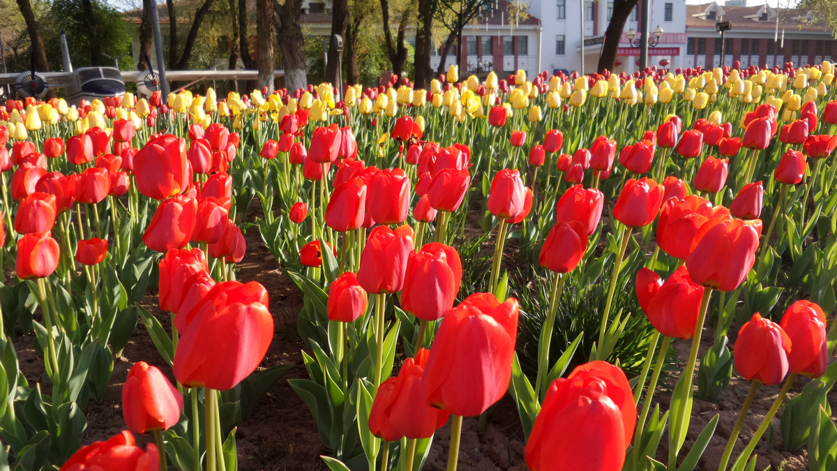 nEO_IMG_20150423_084621 - ����.jpg