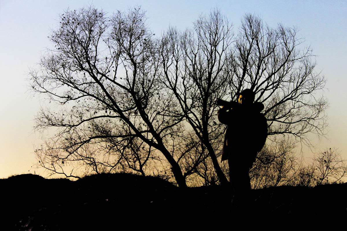 40. ���ķ��������.jpg