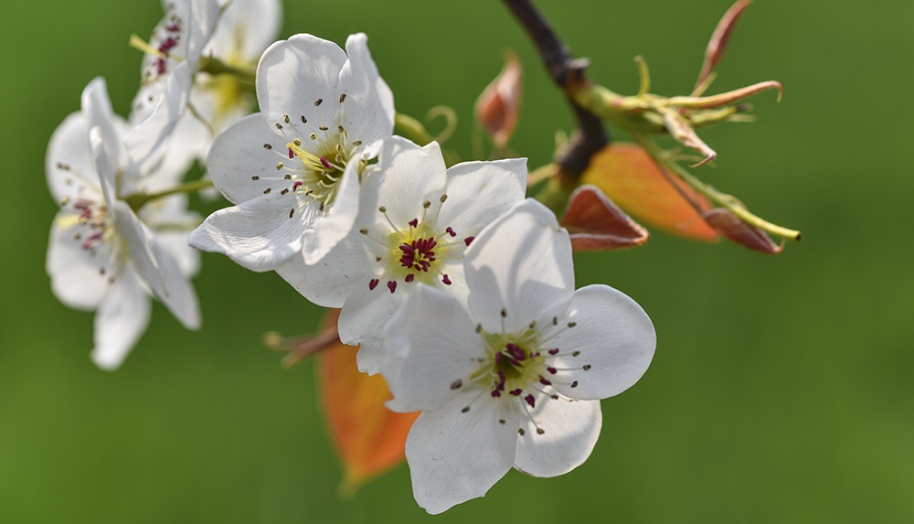 2015��4��9�պӱ����� a1301.jpg