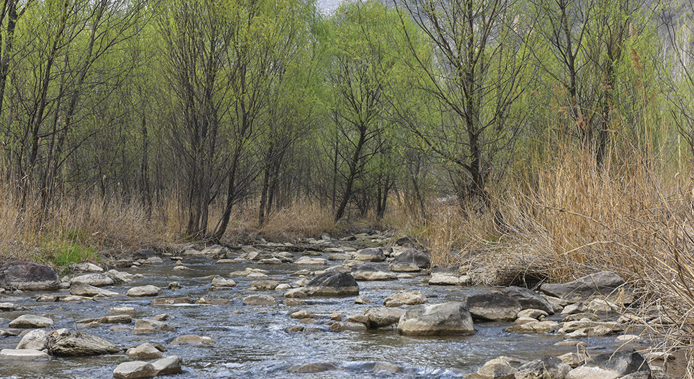 2015��4��2�ջ����� a0311.jpg