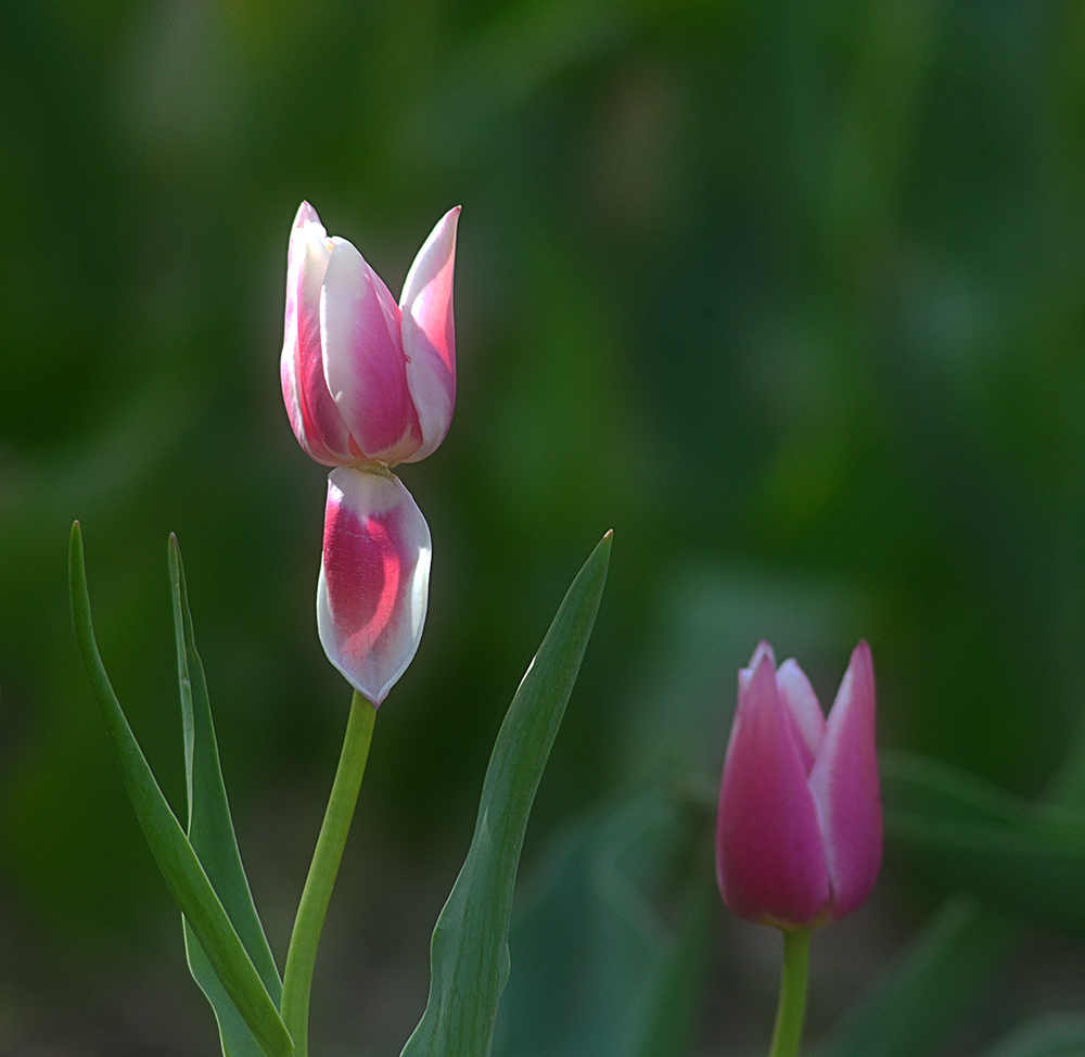 DSC_6720 ����.jpg