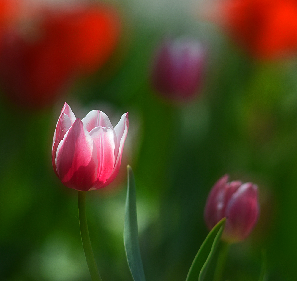 DSC_6831 ����.jpg