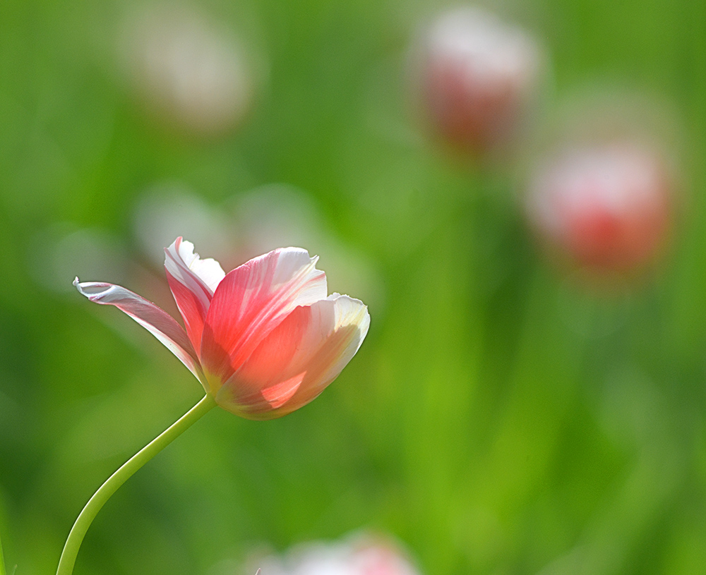 DSC_6957 ����.jpg