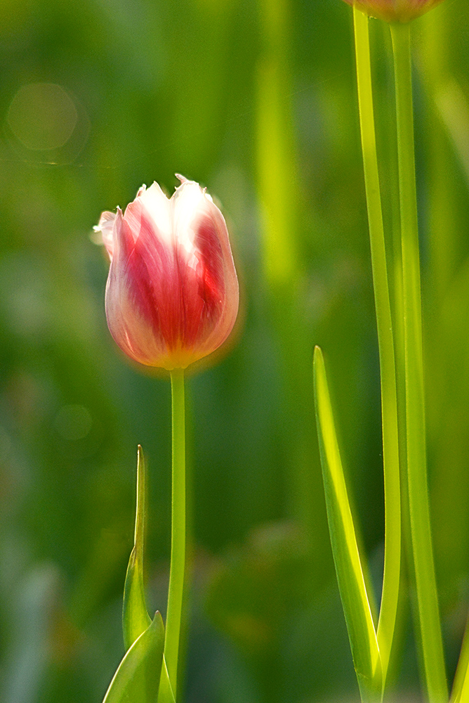 DSC_7065 ����.jpg