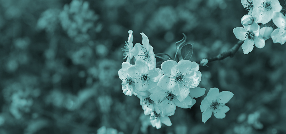 2015��4��9�պӱ����� a2021.jpg