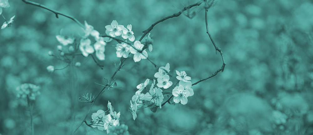 2015��4��9�պӱ����� a2171.jpg