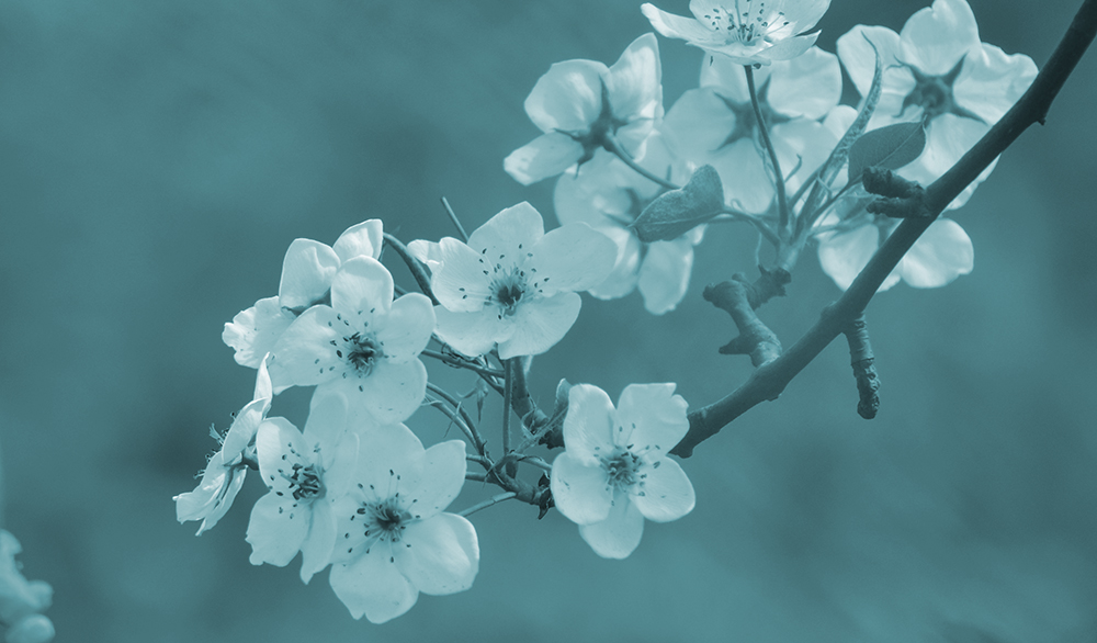 2015��4��9�պӱ����� a2201.jpg