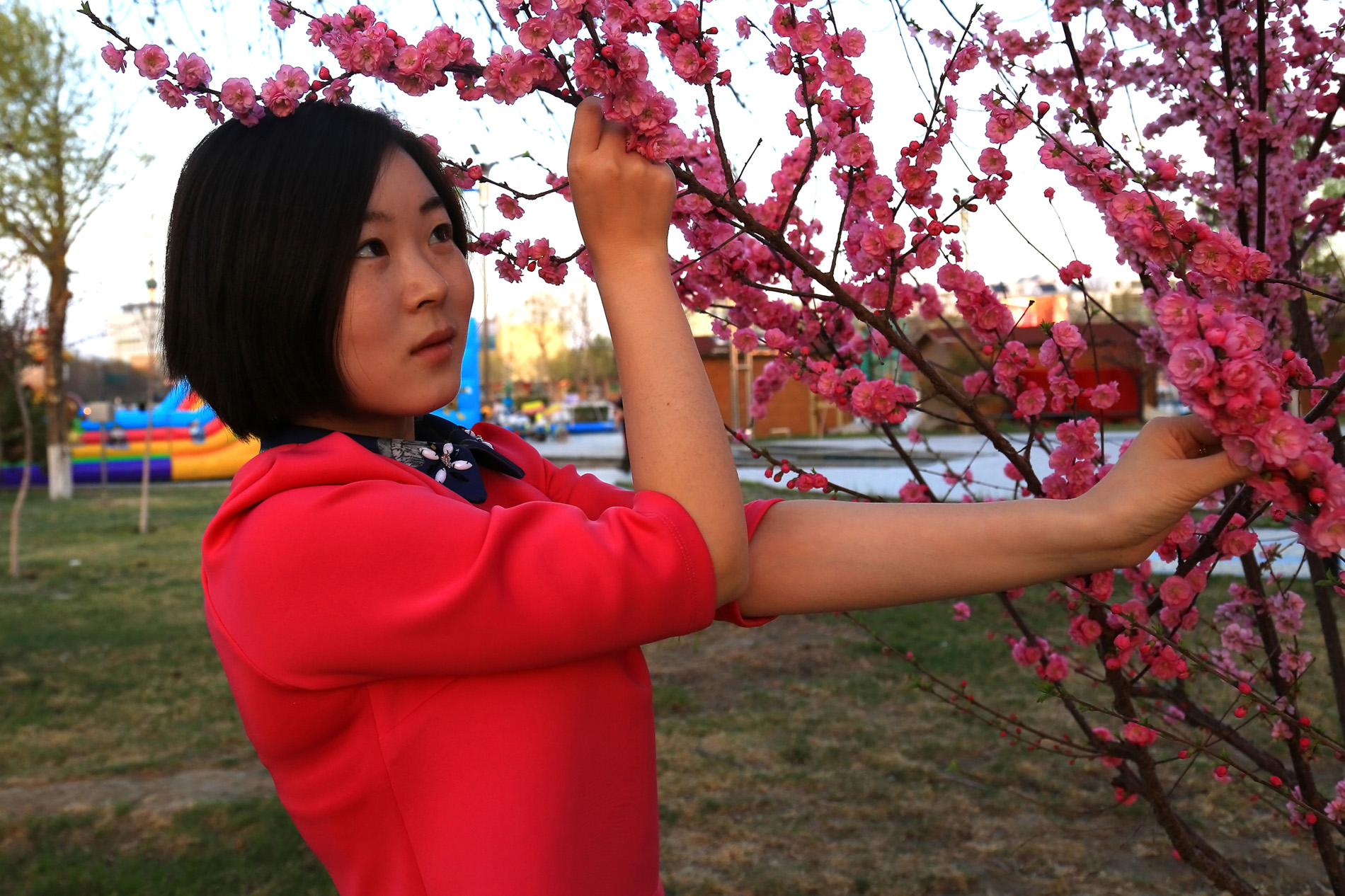 ̤��Ʒ÷ (3).jpg