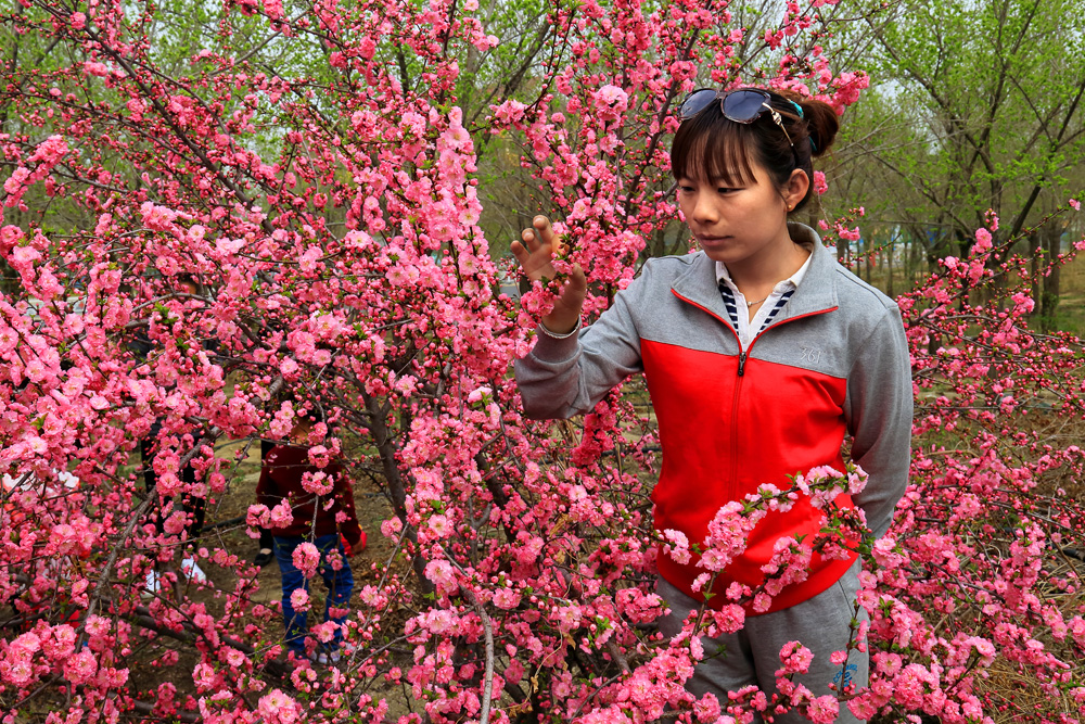 ̤��Ʒ÷ (4).jpg