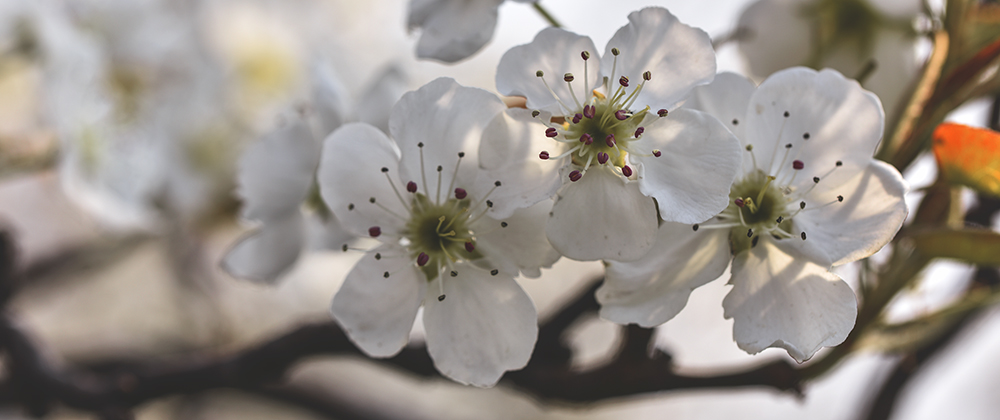 2015��4��9�պӱ����� a1601.jpg