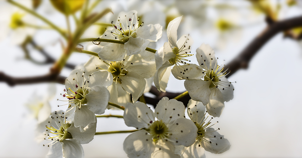 2015��4��9�պӱ����� a1741.jpg