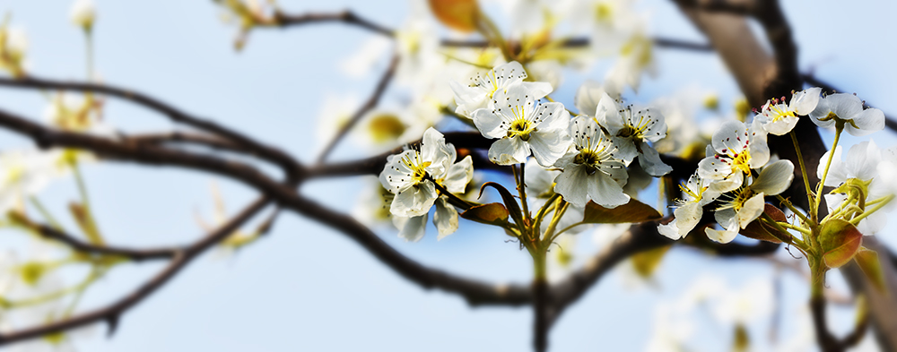 2015��4��9�պӱ����� a1611.jpg