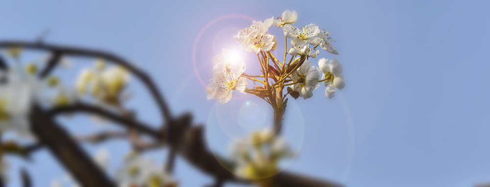 2015��4��9�պӱ����� a1631.jpg