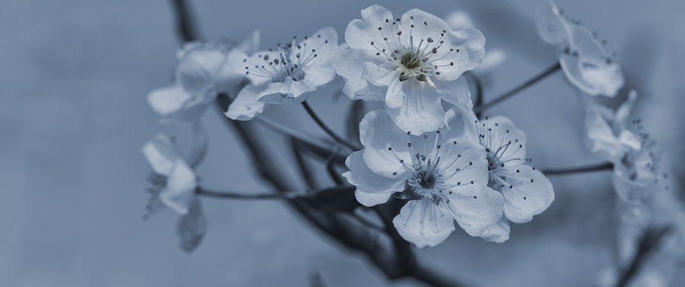 2015��4��9�պӱ����� a1831.jpg