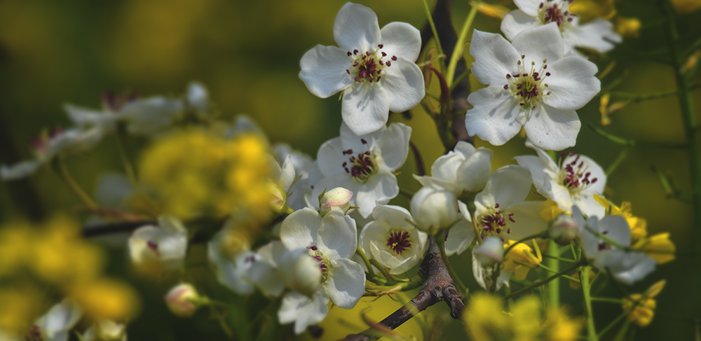 2015��4��9�պӱ����� a2111.jpg