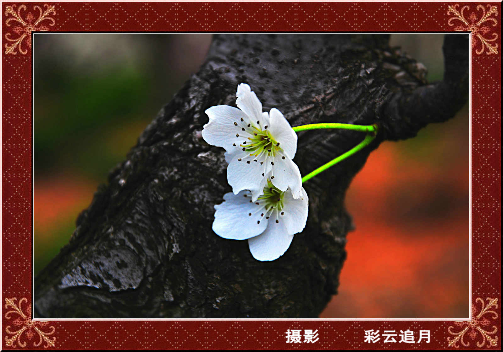 20150411��Ӱ (16).jpg