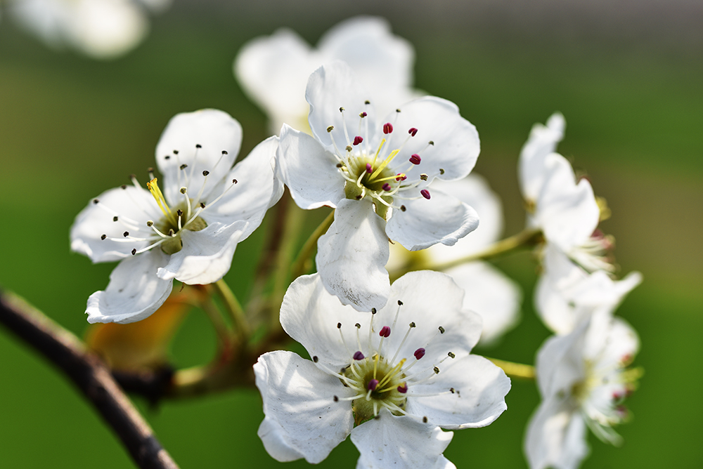 2015��4��9�պӱ����� a1401.jpg