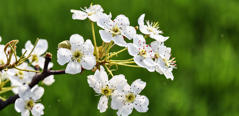 2015��4��9�պӱ����� a1761.jpg