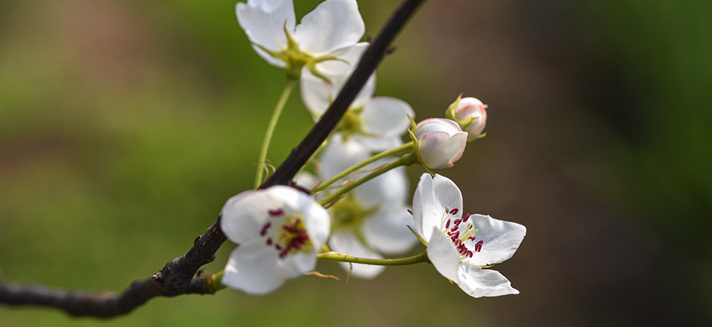 2015��4��9�պӱ����� a1511.jpg