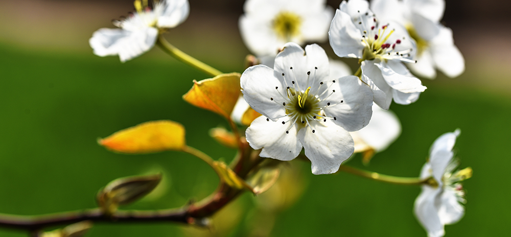 2015��4��9�պӱ����� a1561.jpg