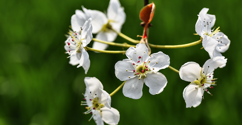 2015��4��9�պӱ����� a1581.jpg