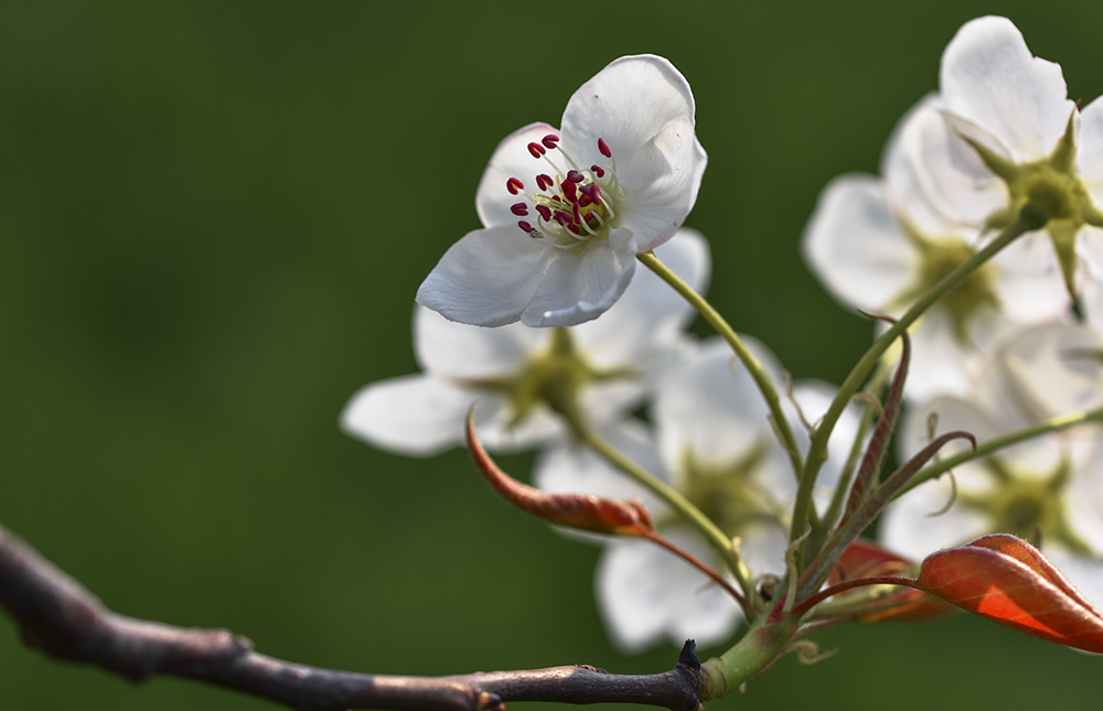 2015��4��9�պӱ����� a1641.jpg