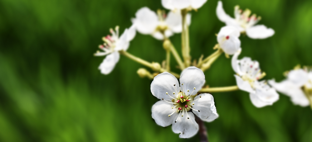 2015��4��9�պӱ����� a1721.jpg