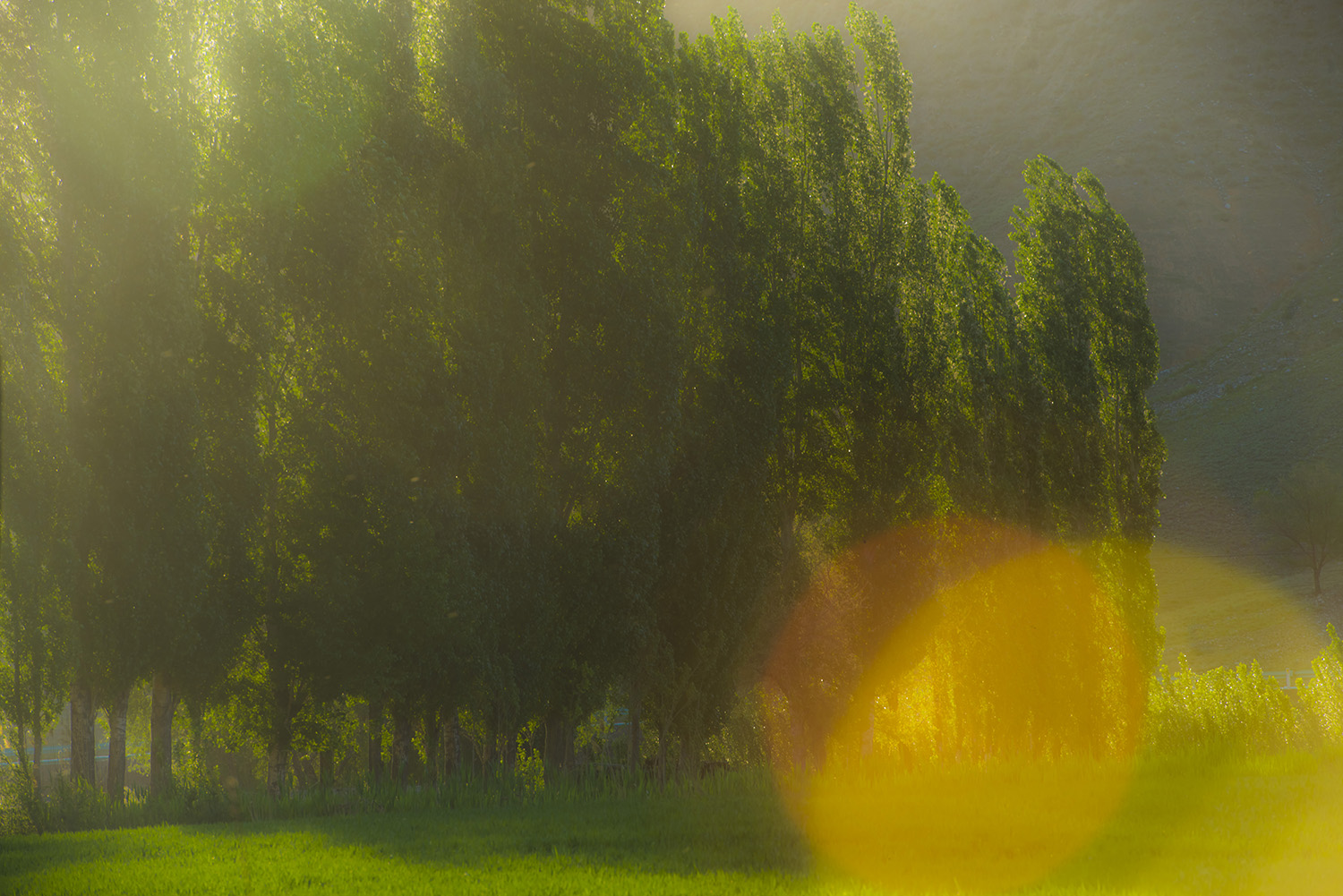 С��������