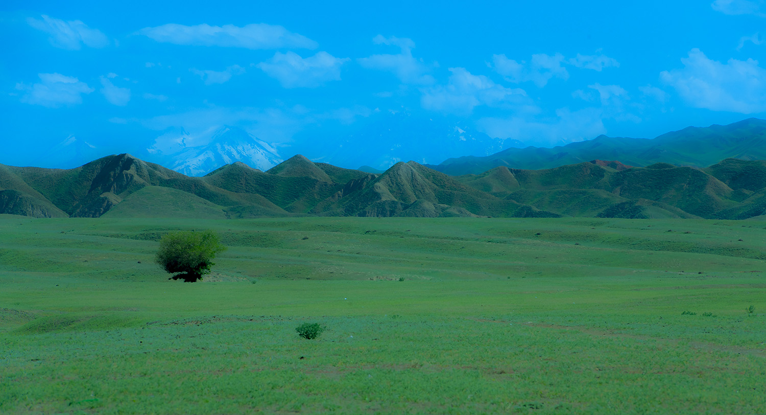 ����������