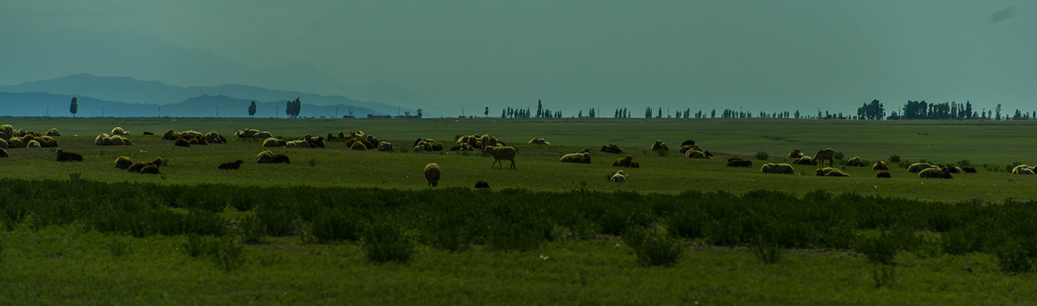 ��ɽ���º�����