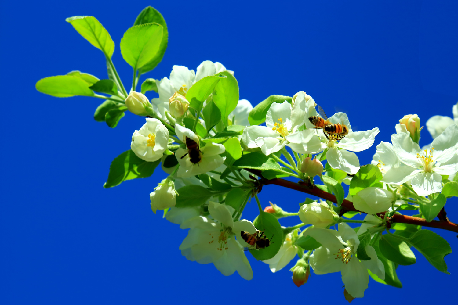 �߳Ǵ���- (1).JPG