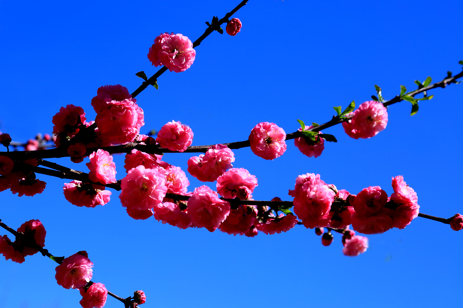 �߳Ǵ���- (2).jpg